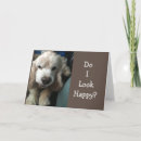 Search for co worker leaving cards Goodbye