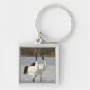 Search for crane key rings Nature