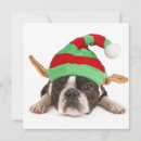 Search for boston christmas cards Animal