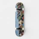 Search for coast skateboards Colourful