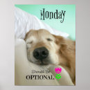 Search for funny golden retriever posters Cute