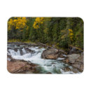 Search for chucks cards Montana