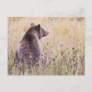 Search for omnivorous postcards Fur