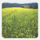 Search for tuscany italy stickers Field