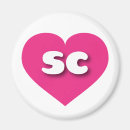 Search for sc magnets South carolina