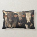 Search for western cushions Bull