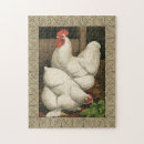 Search for rooster puzzles Hen