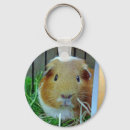 Search for cavy key rings Pig
