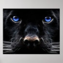 Search for blue tiger posters Wild