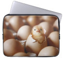 Search for cute chicken cases Egg