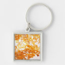 Search for autumn scene key rings Outdoors
