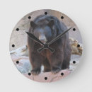 Search for bear clocks Photograph