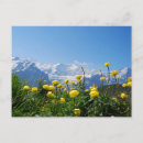 Search for swiss alps postcards Jungfrau
