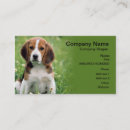 Search for beagle business cards Pets