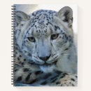 Search for snow leopard Back to school