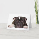 Search for staffordshire bull terrier cards Dog