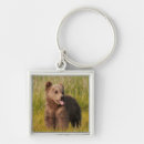 Search for funny bear key rings Cute