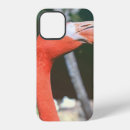 Search for beak iphone cases Tropical