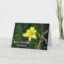 Search for daylilies cards Garden