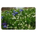 Search for hillside magnets Flower