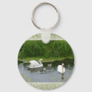 Search for ducky key rings Nature