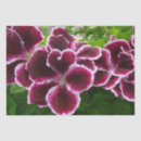 Search for geranium gift wrap Purple