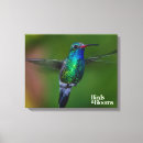Search for hummingbird gifts Bird watcher