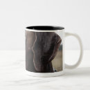 Search for houston coffee mugs Usa