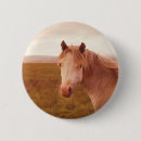 Search for wild horses badges Nature