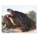 Search for zoology posters Mammal