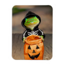 Search for skeleton magnets Animals