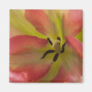 Search for beautiful blossom magnets Botanical
