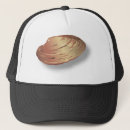 Search for shells hats Sea