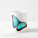 Search for morpho butterfly mugs Insect