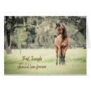 Search for horse sympathy cards Farm