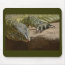 Search for lizard mousepads Reptile