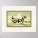 Search for trot posters Vintage
