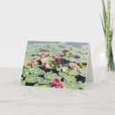 Search for lillies photography Pink