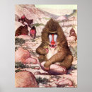 Search for mandrill art Baboons