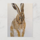 Search for hare paintings postcards Rabbit