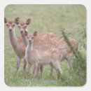 Search for group of people stickers Animal
