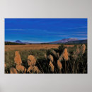 Search for tongariro posters Nature