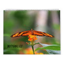 Search for beautiful butterflies office supplies Nature
