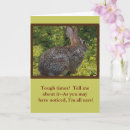 Search for rabbit ears cards Cute bunny rabbit