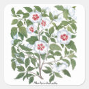 Search for perennials stickers Nature