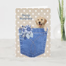 Search for pocket cards Pet