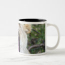 Search for masai mugs Wildlife