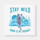 Search for polar wolf Wild