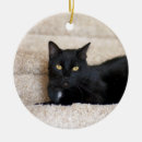 Search for furry animal christmas tree decorations Cat