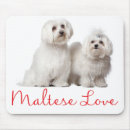 Search for maltese electronics Dogs